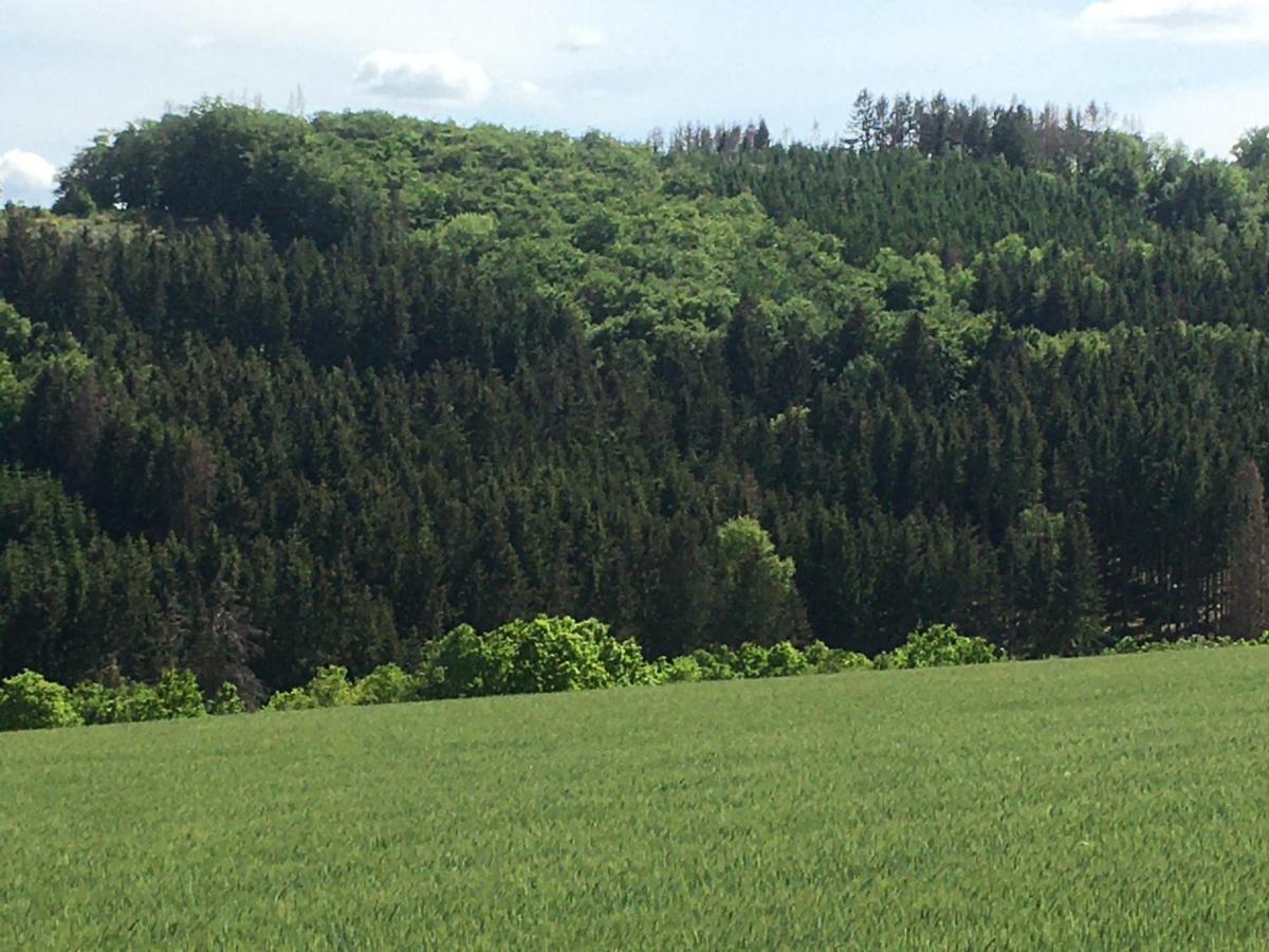Appartement Am Astenkick Altastenberg Winterberg Luaran gambar