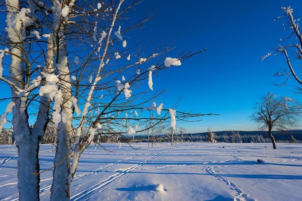 Appartement Am Astenkick Altastenberg Winterberg Luaran gambar
