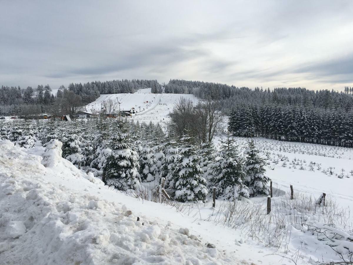 Appartement Am Astenkick Altastenberg Winterberg Luaran gambar
